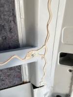 IMG_6694.jpeg