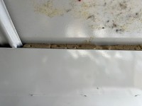 IMG_6691.jpeg
