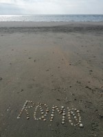 IMG_20250423_165656.jpg