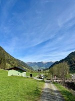 IMG_5139.jpeg