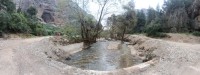 IMG_20250327_140455_6.jpg