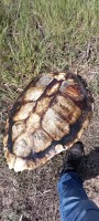 IMG_20250410_101317_636.jpg