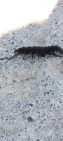 IMG_20250411_092837_944.jpg