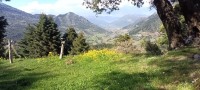 IMG_20250412_154219_220.jpg