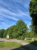 IMG_6380.jpeg