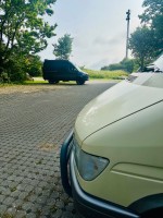 IMG_6630.jpeg