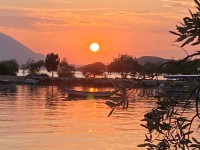 IMG_3094.jpeg