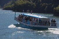 IMG_6843.jpg