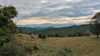 PXL_20250819_052645868.MP.jpg