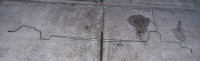 20250918_194506.jpg