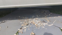 IMG-20240520-WA0004.jpeg