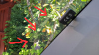 17571622980142068405610416937467.jpg