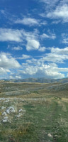 IMG_0271.jpeg