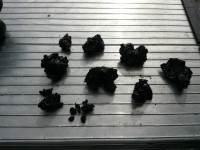 comp_500kb2015-10-08 12.21.17.jpg