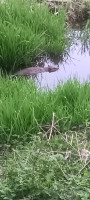IMG_20260417_193829_644.jpg