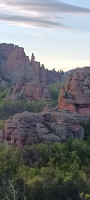 IMG_20260422_182921_324.jpg