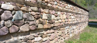 IMG_20260425_102239_539.jpg
