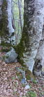 IMG_20260427_180918_958.jpg