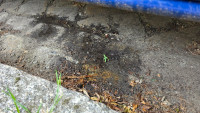 20260612_105756.jpg
