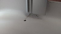 PXL_20260705_070716754.jpg