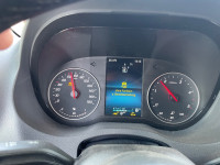 IMG_3518.jpeg