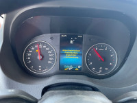 IMG_3519.jpeg