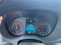 IMG_3520.jpeg