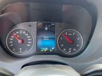 IMG_3521.jpeg