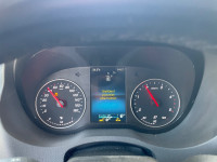 IMG_3522.jpeg
