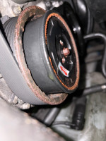 IMG_0452.jpeg