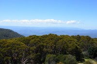 Blick vom Mt. Donna Buang