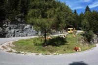 schafbergalm.jpg (252.13 KiB) 13513 mal betrachtet Kurve Kühe Kastenwagen<br />Auffahrt zur Postalm 2014