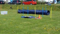 Sprinter Fahrer Früh Sport Arena