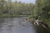 Tasmanische Wildnis