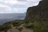 Blick zum Cape Pillar