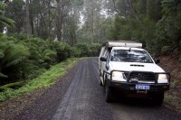 Hilux auf Waldwegen