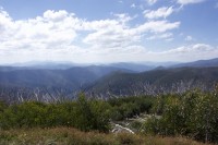 in den Victorian Alps (oder auch Victorian Highs...die sind Teil der Great Dividing Range)