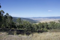 Victorian Alps