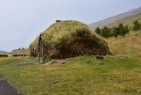 Wikingerbutze zerzaust wie ein Schafffell im Wind