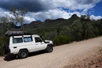 Troopy artgerecht bewegt