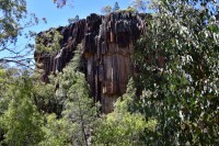 Sawn Rock, Mt. Kaputar NP.