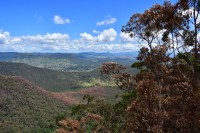 Blick vom Phyton Rock Lookout