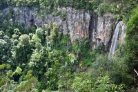 Springbrook NP