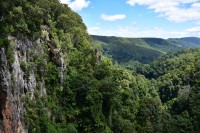 Springbrook NP