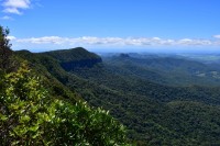 Springbrook NP