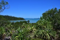 Walk zum Coral Beach