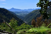 Lookout Richtung Cairns