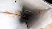 20170613_190318.jpg