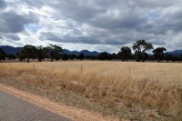 Anfahrt zum Grampians Nat.park, auf rd. 100km Fahrstrecken sind mir ca. 20 Autos entegegen gekommen...heavy traffic hier ;-)