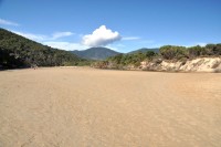 Tidal River